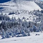 Sur Les Pistes A - Fr-1-814-108 *