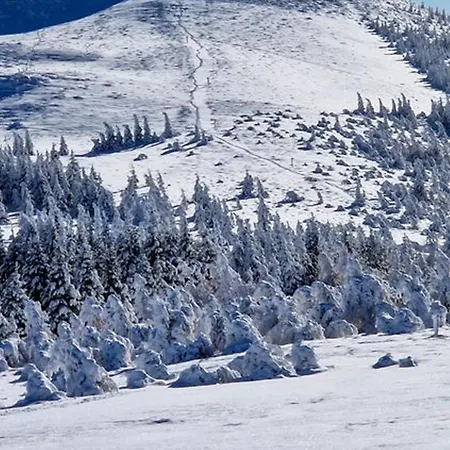 Sur Les Pistes A - Fr-1-814-108 *