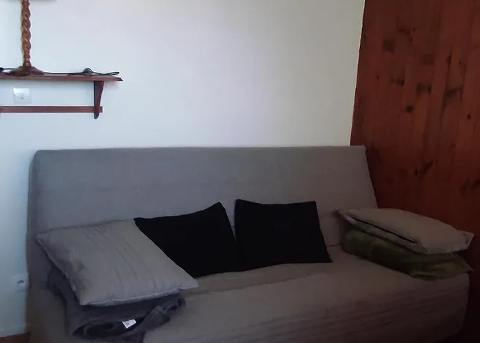 Cosy Sur Les Pistes, Proche Télécabines - Fr-1-814-108 * Super-Besse